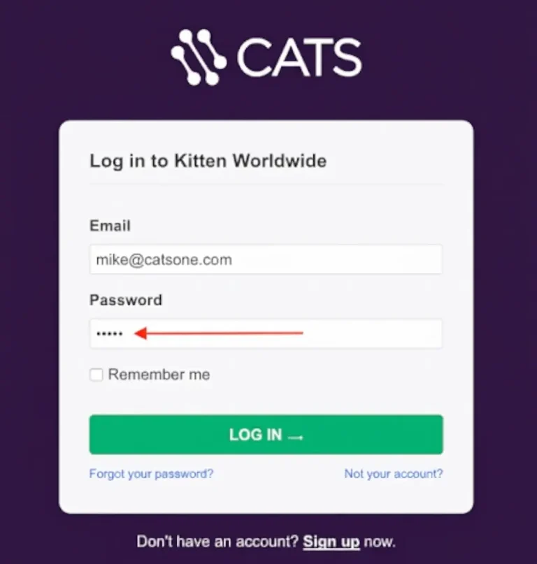 Cats login screen showing email and password fields with a red arrow pointing to the password input.   